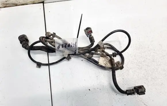 Other wiring loom