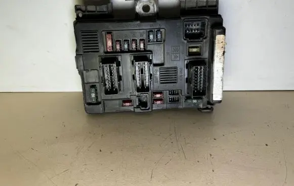 Peugeot 206 BSM Control unit 9650664180