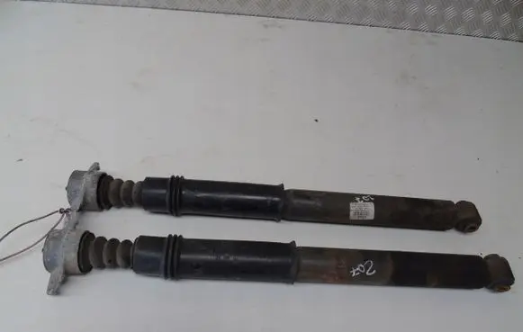 Peugeot 207 Rear shock absorber with coil spring 