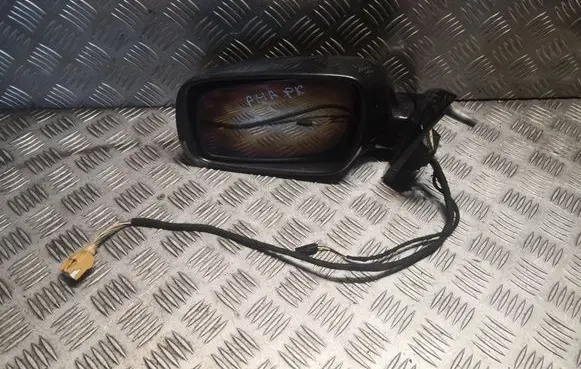 Front door electric wing mirror