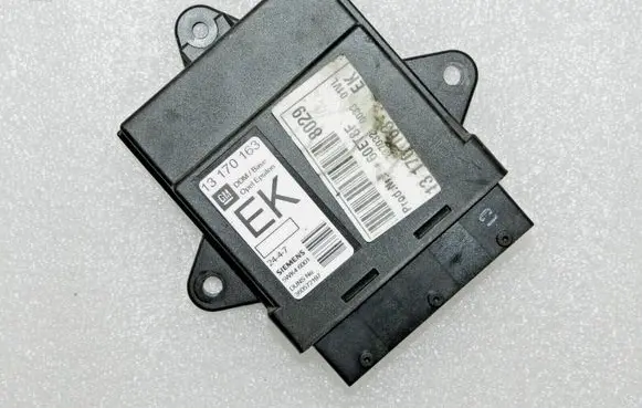Opel Vectra C Door control unit/module 13170163EK 13193368