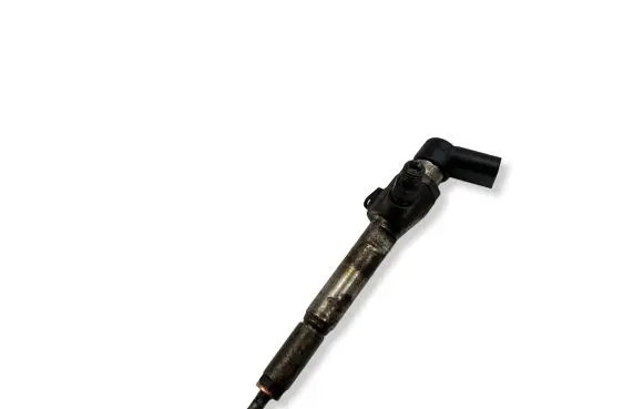 Renault Megane II Fuel injector H8200294788