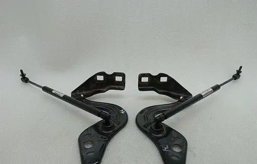 Chevrolet Corvette C6 Engine bonnet/hood hinges 15855572