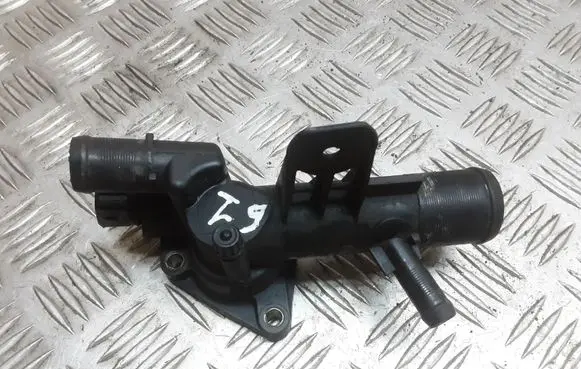 Thermostat/thermostat housing