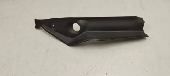 Rear/tail light trim molding