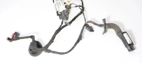 Audi A6 C7 Front door wiring loom 4G5971030DJ