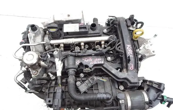 Ford Focus Engine silnikeco
