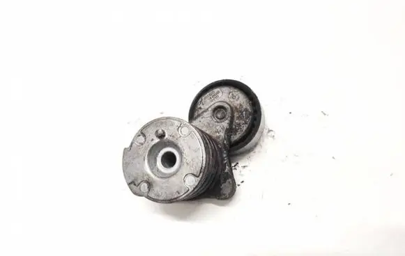Chevrolet Captiva Generator/alternator belt tensioner