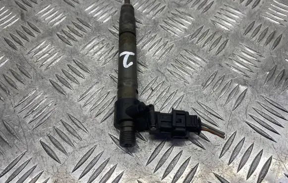 Land Rover Evoque I Fuel injector 9687454480 120413