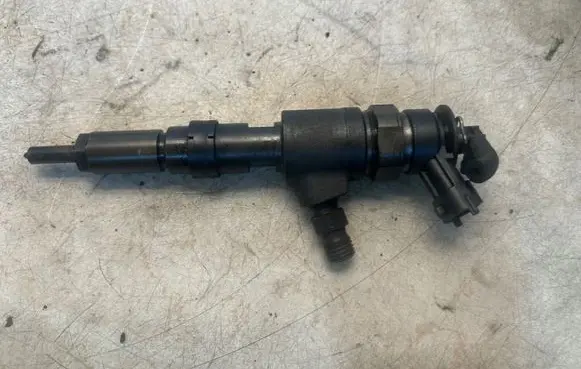 Peugeot Partner Fuel injector 0445110135 786280