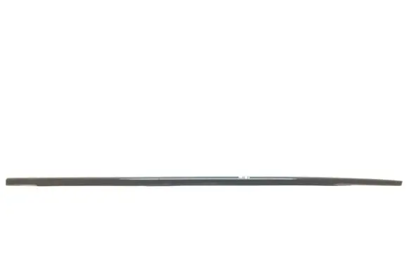 KIA Carens III Rear door glass trim molding