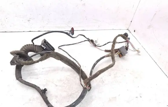 Renault Scenic II - Grand scenic II Front door wiring loom 8200466081