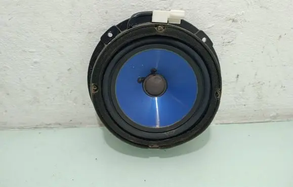 Hyundai Santa Fe Rear door speaker 963002B110
