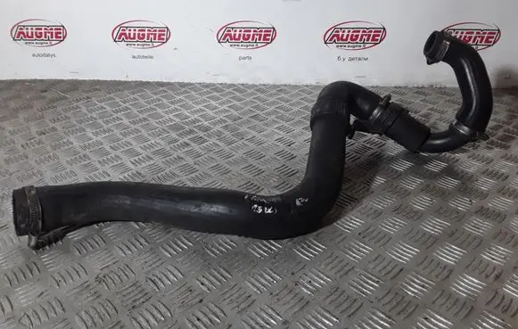 Renault Kangoo II Engine coolant pipe/hose
