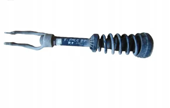 Jaguar F-Pace Front shock absorber with coil spring HK8318B037ME