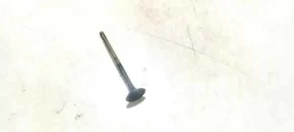 Volkswagen Golf V Valve 