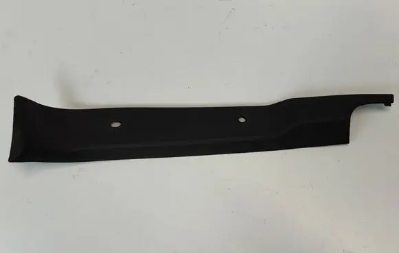 Rear/tail light trim molding