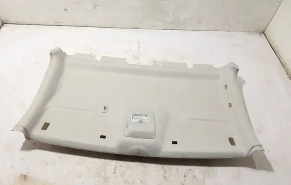 Peugeot Expert Headlining 98118819BJ