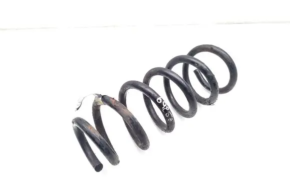 Tesla Model S Rear coil spring Z230B05