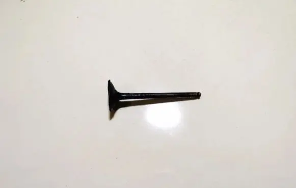 Renault Scenic I Valve 