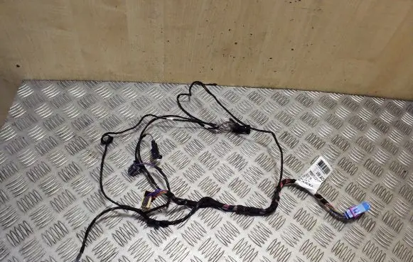 Front door wiring loom