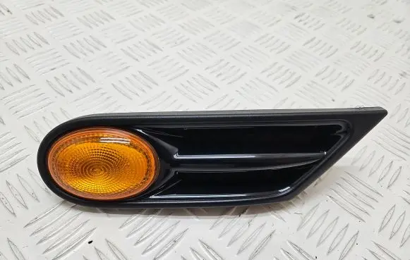 Front fender indicator light