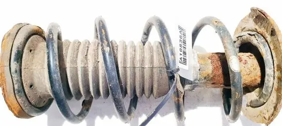 Front coil spring