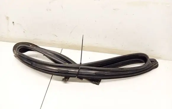 Volkswagen PASSAT B6 Rubber seal rear door 3C9839432