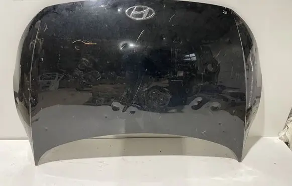 Hyundai Ioniq 5 Engine bonnet/hood