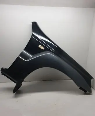 Hyundai Terracan Fender
