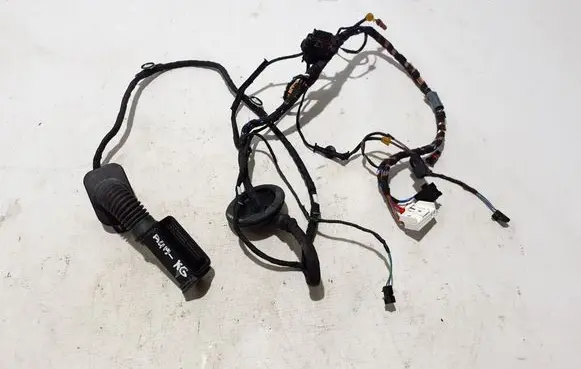 Other wiring loom