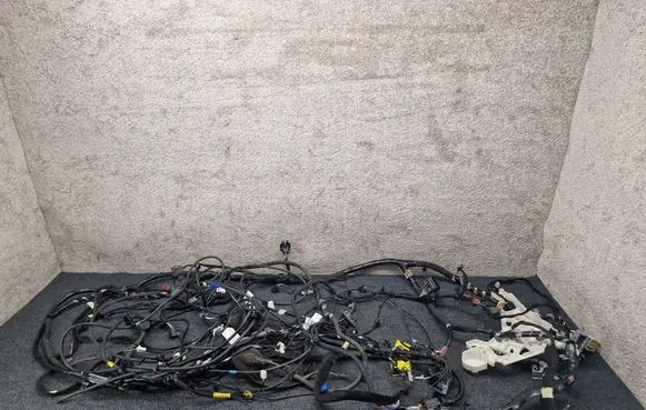 Renault Scenic IV - Grand scenic IV Wiring harness 241632286R 178929500 282438079R