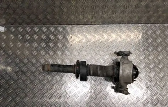 Volkswagen Touareg II Rear shock absorber/damper 