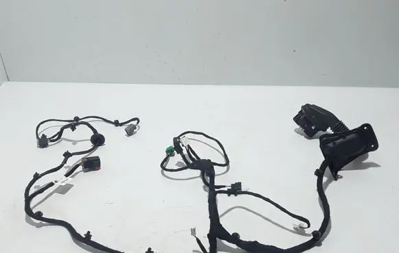 Chrysler Pacifica Other wiring loom 68446210AA