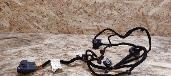 Rear door wiring loom