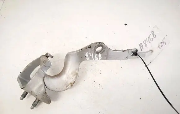 Tailgate/trunk/boot hinge