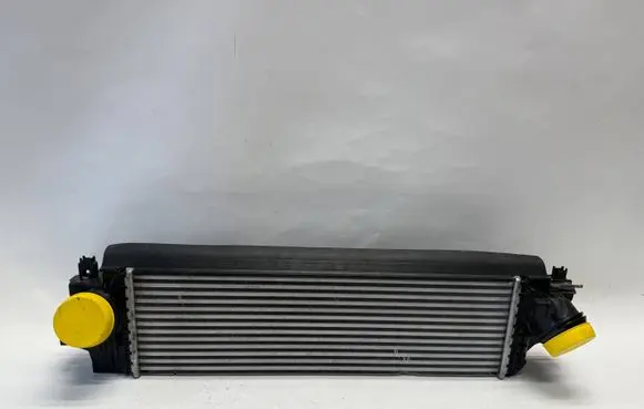 BMW X1 F48 F49 Intercooler radiator 8645760