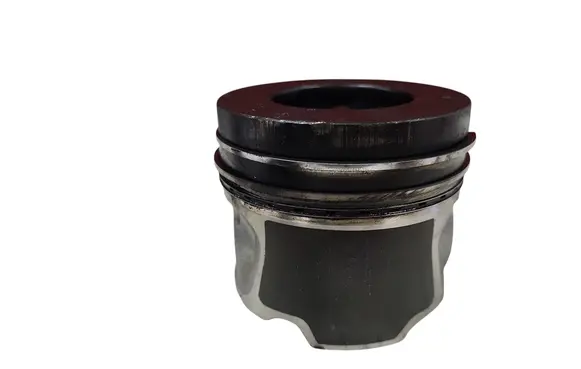 Opel Antara Piston 