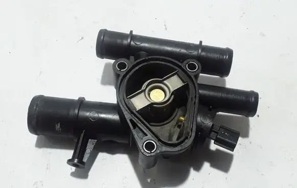 Thermostat/thermostat housing