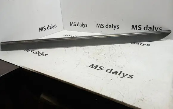 Mercedes-Benz R W251 Rear door trim (molding) A2516902562 2516902562