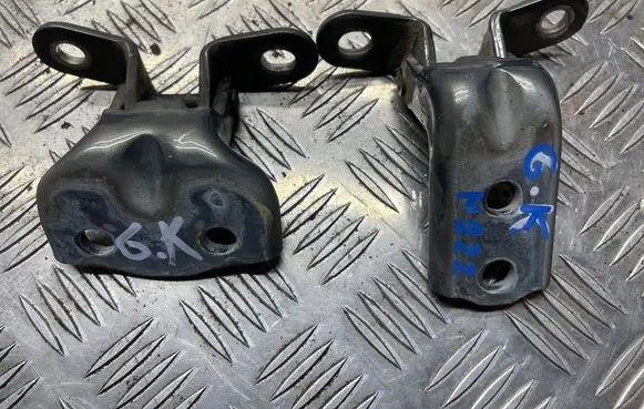 Hyundai Santa Fe Rear door hinge set 