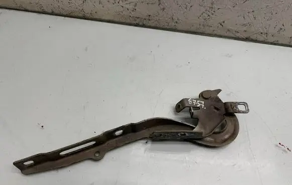 Peugeot Expert Engine bonnet/hood hinges 9823131780