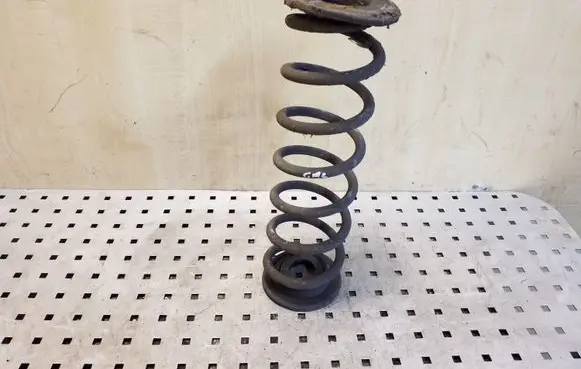 Volkswagen PASSAT B8 Rear coil spring