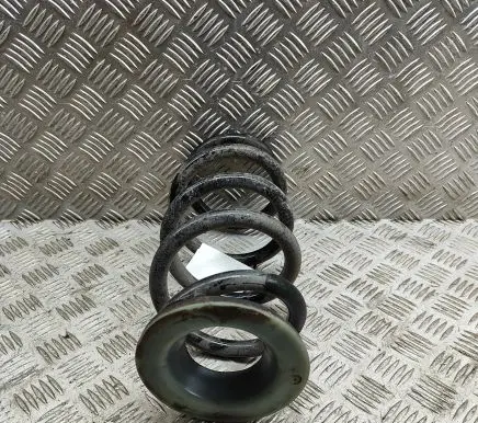 Tesla Model Y Rear coil spring 118847400B