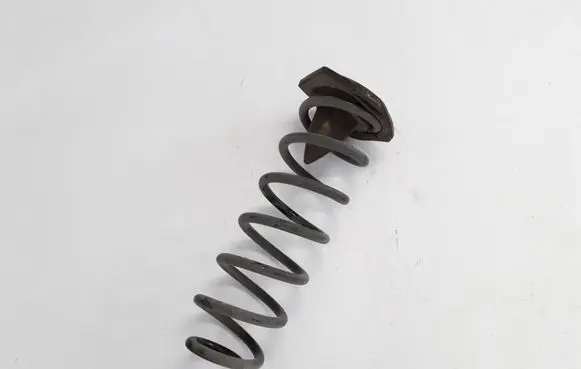 Renault Scenic III - Grand scenic III Rear coil spring 550200035R