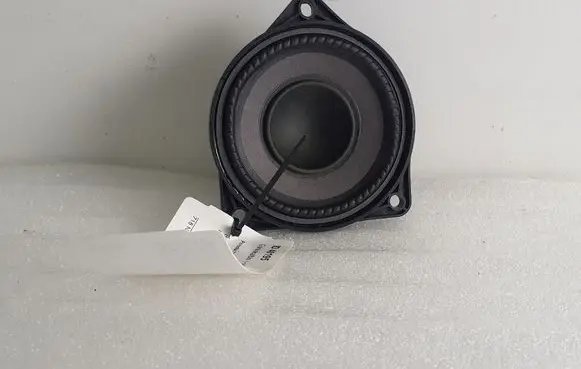 Front door speaker