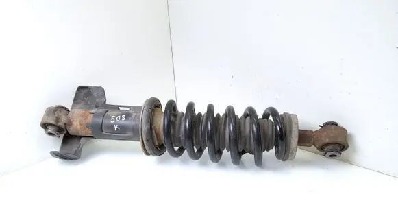 Peugeot 508 Rear shock absorber with coil spring 9652905080