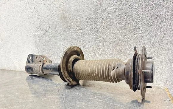 Opel Antara Front shock absorber/damper SAO521101