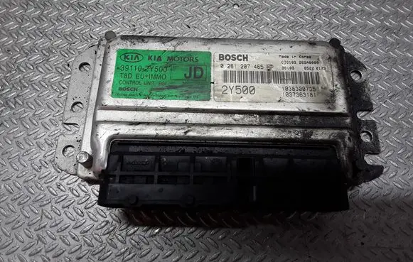 KIA Carens I Engine control unit/module 0261207465 391102Y500