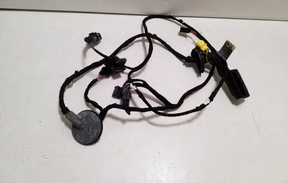 Audi Q5 SQ5 Front door wiring loom 8R0971029AP
